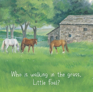 Little Foal's Busy Day Book