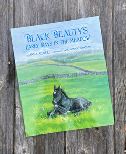 Black Beauty's Early Days in the Meadow Book